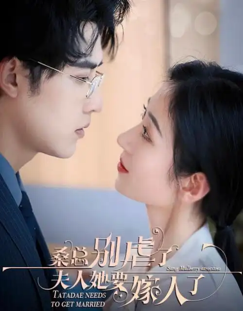 长夜有风 好看的电视剧全集免费观看